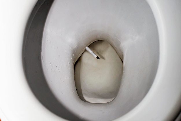 Grundel von Zigaretten weiterhin in Toilette haben Rauchen verboten