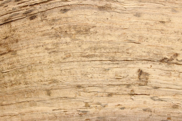 Grunge-Holz-Hintergrund mit rauem Holz