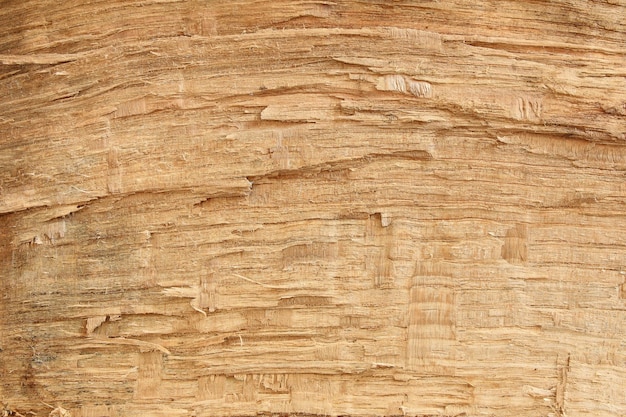 Grunge-Holz-Hintergrund mit rauem Holz