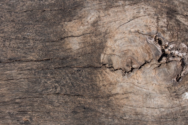 Foto grunge holz hintergrund