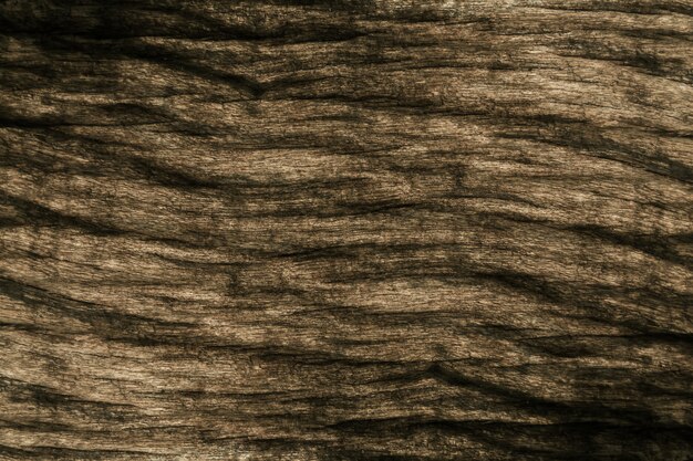 Grunge marrón madera textura patrón papel pintado naturaleza fondo