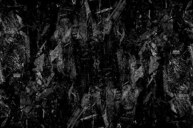 Grunge schwarze Textur