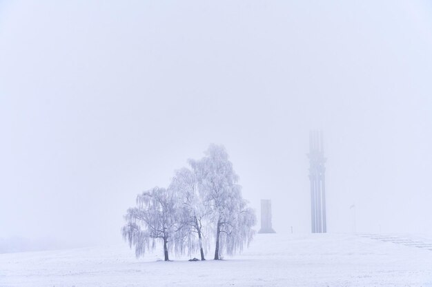 Foto grunwald poland 10 de janeiro de 2024 memorial no campo de batalha no inverno durante a névoa