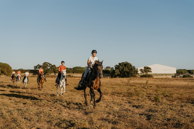 Grupo de 6 jinetes cabalgando por un prado al atardecer