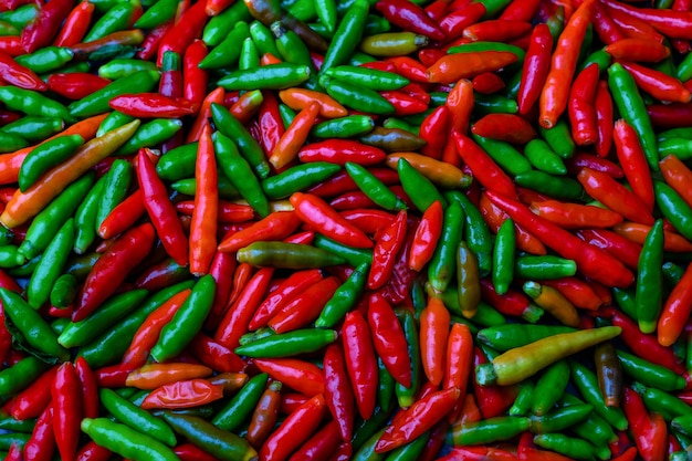 Grupo de ají rojo caliente en fondo negro