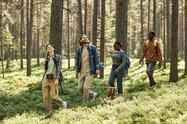 Grupo de amigos caminando por el sendero del bosque y mirando alrededor disfrutando de la naturaleza