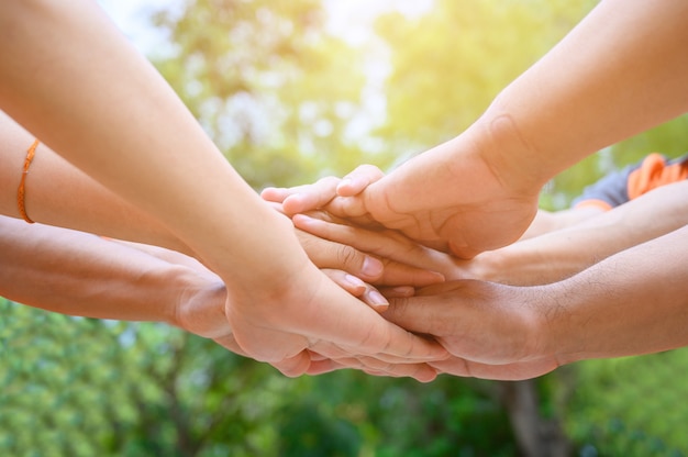 Un grupo de amigos extendió sus brazos para tocar sus manos para la unidad.