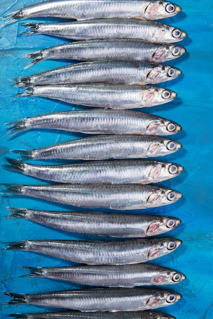 Un grupo de anchoas se extendió. Mar Jónico, Italia, región de Apulia