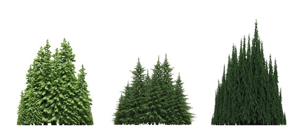 grupo de árboles aislados en un bosque de fondo blanco bosquejo esquema ilustración cg render