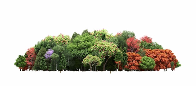 grupo de árboles aislados en un fondo blanco grandes árboles en el bosque 3D ilustración cg render