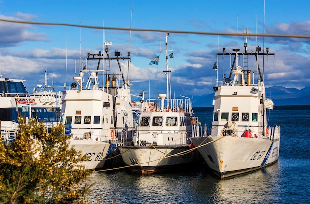 Un grupo de barcos están atracados en un puerto.