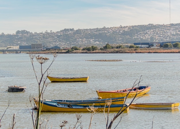 Un grupo de barcos de pesca en puerto chileno mañana medio nublada