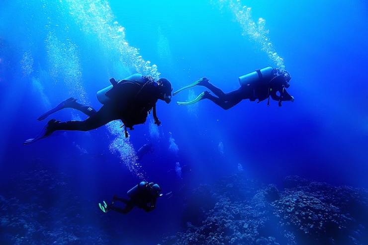 Foto grupo de buzos bajo el agua en un arrecife de coral