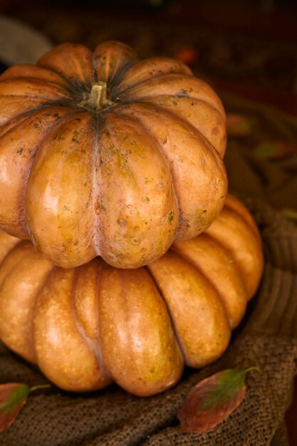 Un grupo de calabazas de otoño de diferentes tamaños con hojas de otoño.