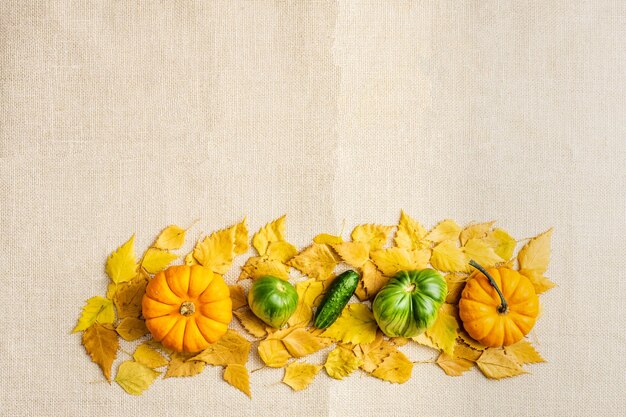 Grupo de calabazas, tomates y pepino en un saco y en hojas amarillas de otoño