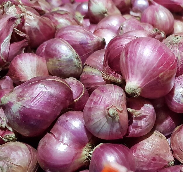 Foto grupo de cebollas shallots cebollas púrpuras frescas o allium cepa fotografía de cerca
