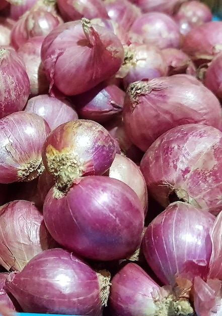 Foto grupo de cebollas shallots cebollas púrpuras frescas o allium cepa fotografía de cerca