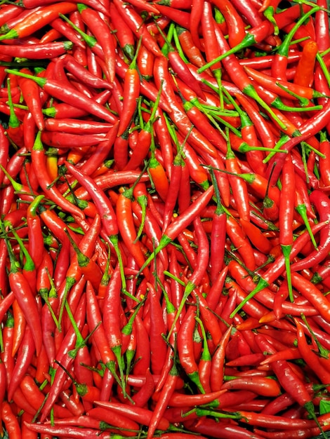 Un grupo de chiles rojos picantes