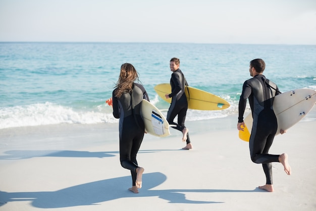 Grupo de amigos em roupa de mergulho com prancha de surf em um dia ensolarado