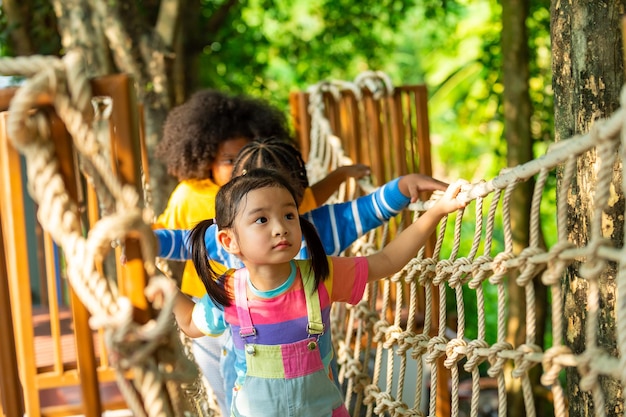 Grupo de amigos felizes, meninos e meninas, brincando e escalando uma rede de corda juntos no parque de brincadeiras nas férias de verão. Crianças desfrutam de atividades ao ar livre, brindando e aprendendo no playground da escola.