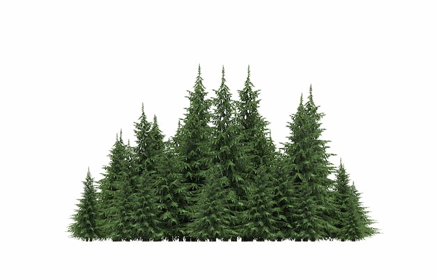 grupo de árvores isoladas em um fundo branco grandes árvores na floresta ilustração 3D cg render