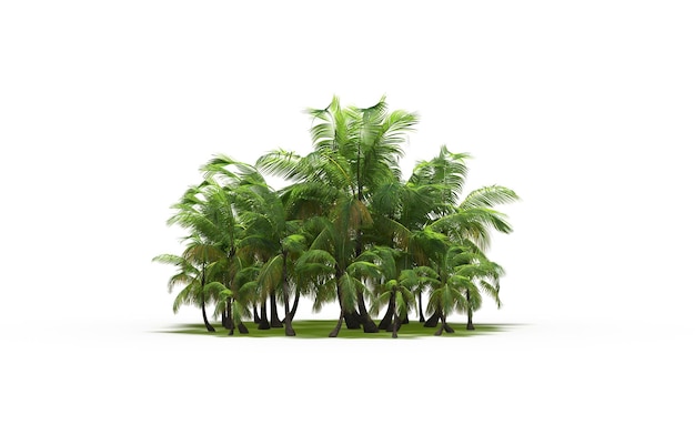 grupo de árvores isoladas em um fundo branco grandes árvores na floresta ilustração 3D cg render