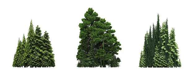 grupo de árvores isoladas em uma ilustração de contorno de esboço de floresta de fundo branco cg render