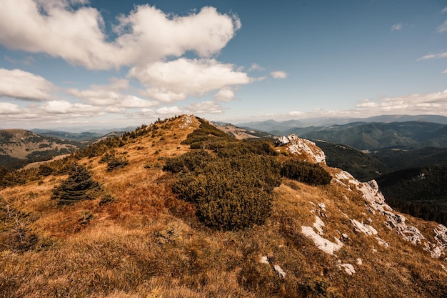 Grupo de caminhadas de viajantes com mochilas Caminhadas nas montanhas Paisagem ensolarada Viajante turístico Parque nacional de Velka Fatra Eslováquia