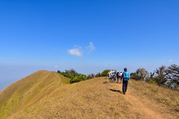 grupo de caminhadas na montanha em dia de sol