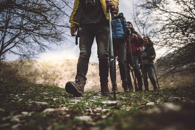 Grupo de caminhantes andando na floresta ao pôr do sol