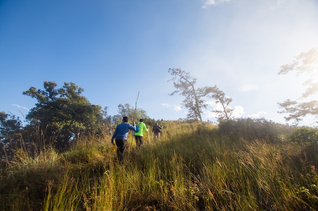 Grupo de caminhar na montanha no dia ensolarado. foco suave.