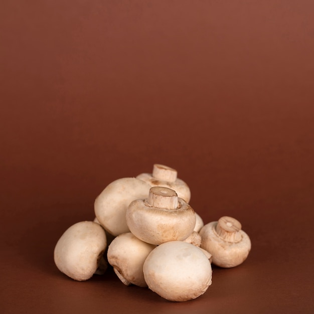 Grupo de cogumelos no fundo marrom