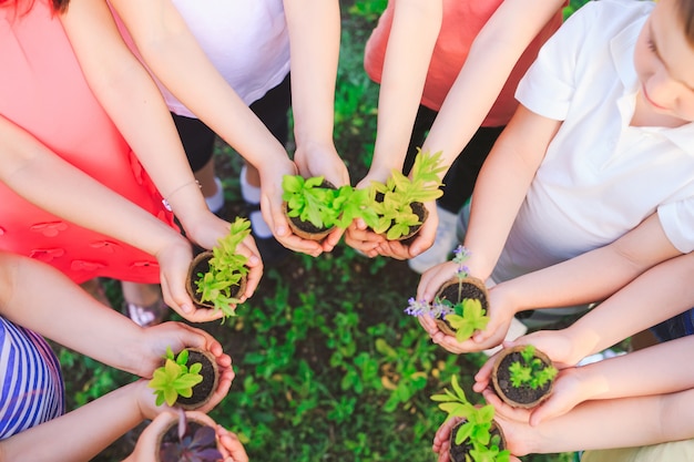 grupo de crianças segurando plantas em vasos