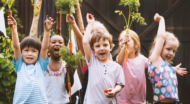 Grupo, de, diverso, crianças, aprendizagem, meio ambiente, em, fazenda vegetal