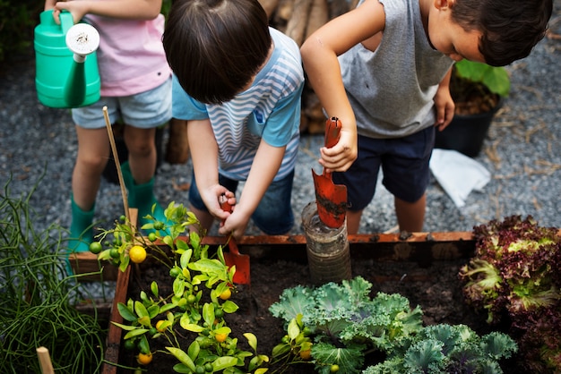 Grupo, de, diverso, crianças, aprendizagem, meio ambiente, em, fazenda