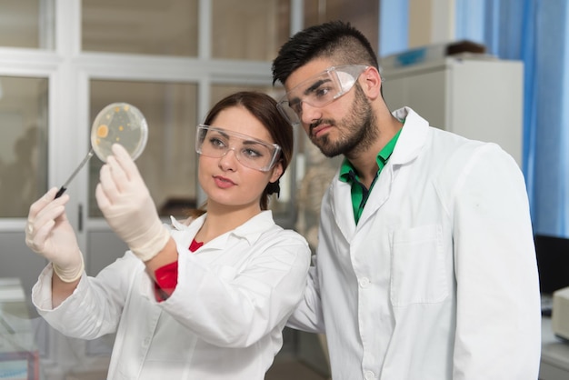 Grupo de estudantes do ensino médio trabalhando juntos na aula de laboratório