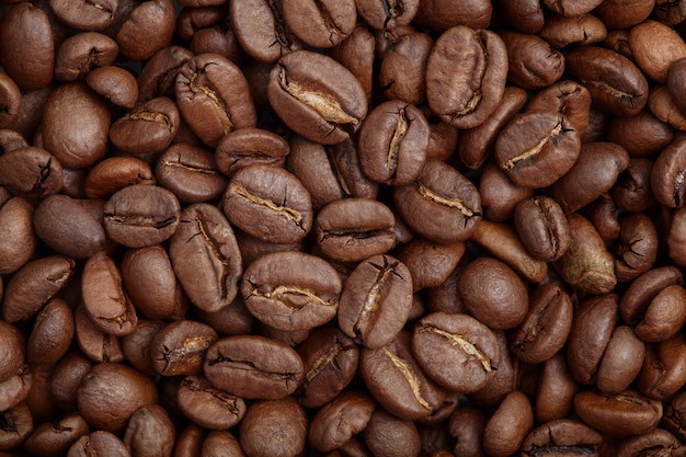 Grupo de grãos de café marrons