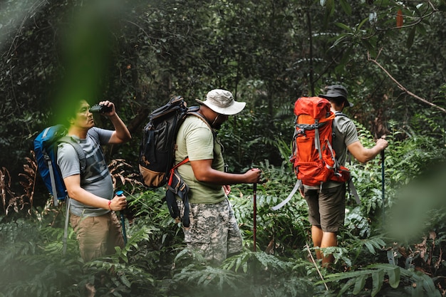 Foto grupo de homens diversos, caminhadas na floresta juntos