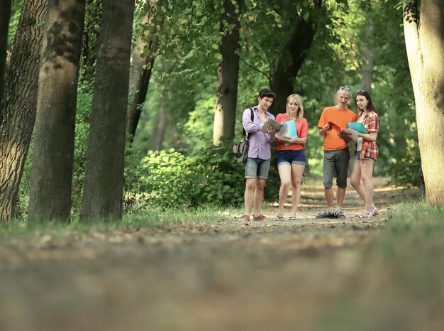 Grupo de jovens estudantes felizes caminhando ao ar livre olhando de lado