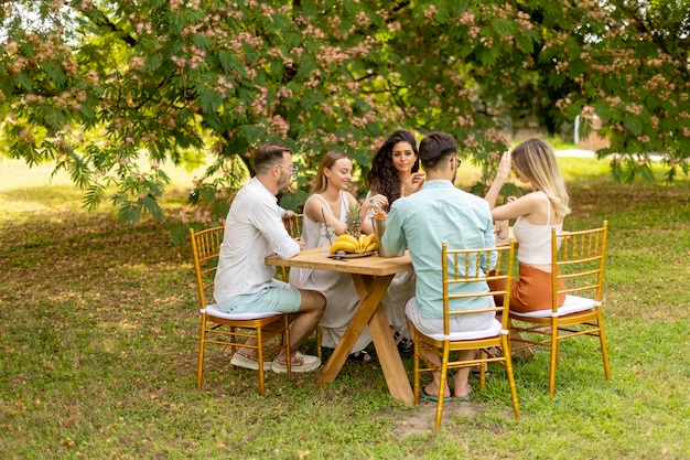 Grupo de jovens felizes torcendo com limonada fresca e comendo frutas no jardim