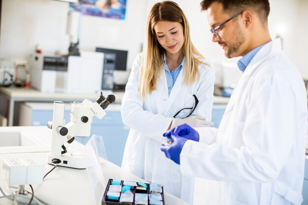 Grupo de jovens pesquisadores analisando dados químicos em laboratório