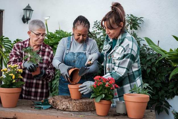 Grupo de mulheres de meia idade fazendo um curso de jardinagem juntas e feliz conceito de jardinagem botânica divertida