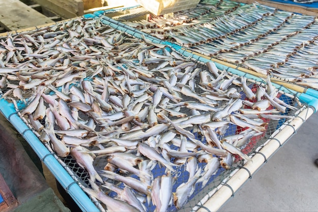 Grupo de peixes marinhos secos em redes para venda aos turistas no mercado.