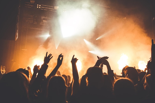 Grupo de pessoas em um concerto de música