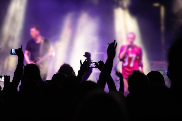 Grupo de pessoas num concerto de música