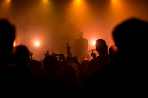 Grupo de pessoas num concerto de música