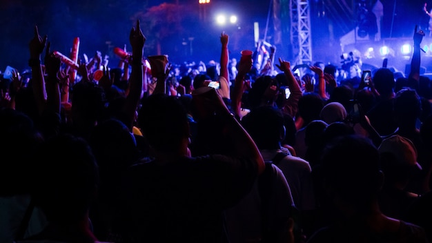 Grupo de pessoas se divertindo no concerto de música