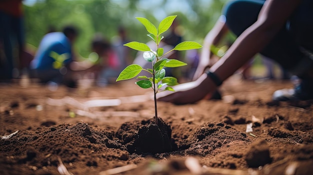 Grupo de pessoas trabalhando juntas em um campo para completar uma tarefa Dia da Terra