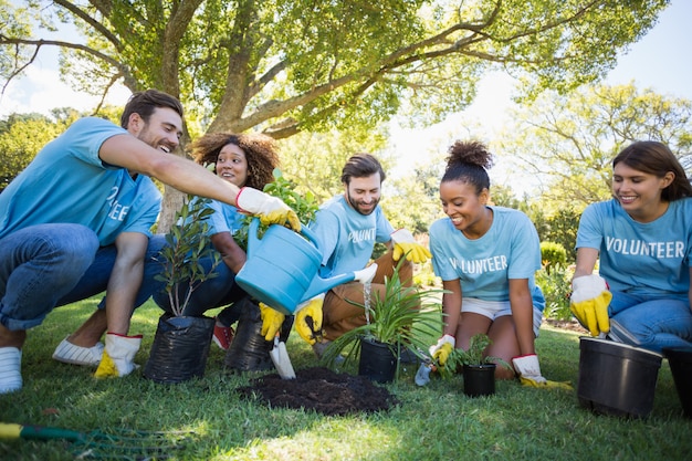 Grupo de plantio voluntário