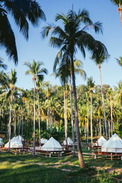 Grupo de tendas de luxo no meio da selva. Praia exótica nas ilhas escondidas da Tailândia